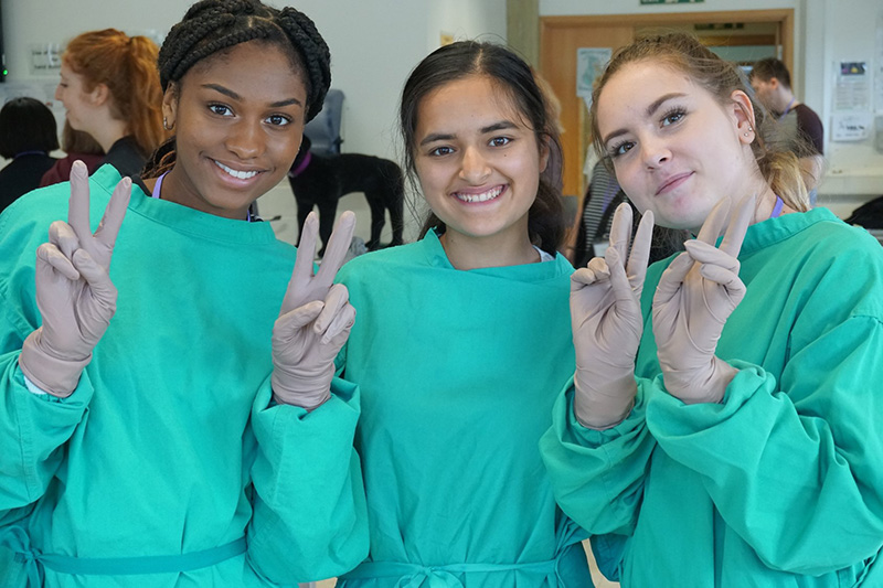 The Royal Veterinary College scores top marks for its Sutton Trust